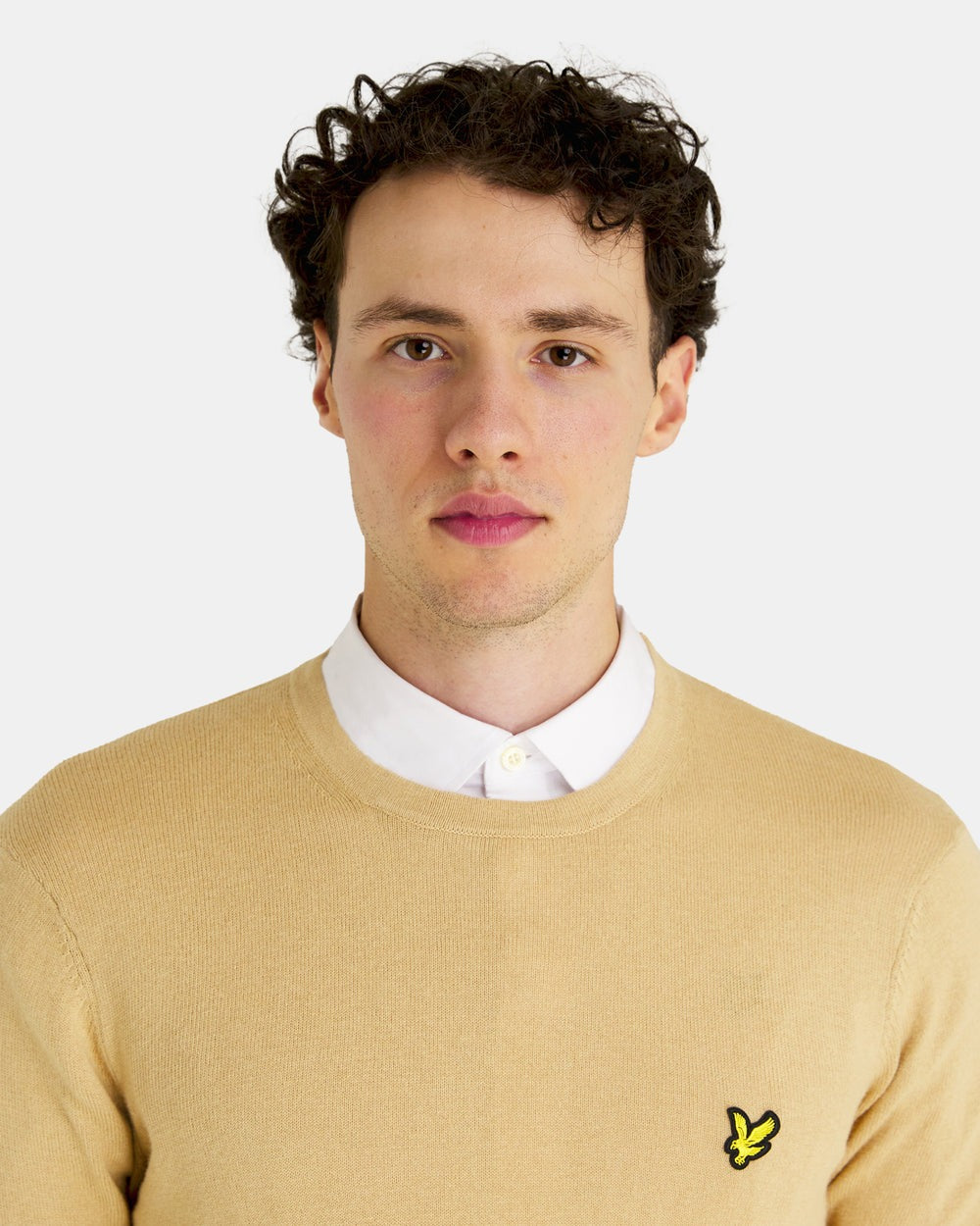 Lyle & Scott Cotton Merino Crew Jumper in Cairngorms Khaki