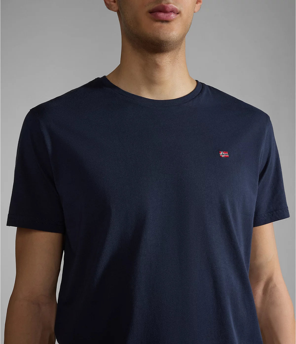 Napapijri Salis Short Sleeve T-shirt in Blue Marine