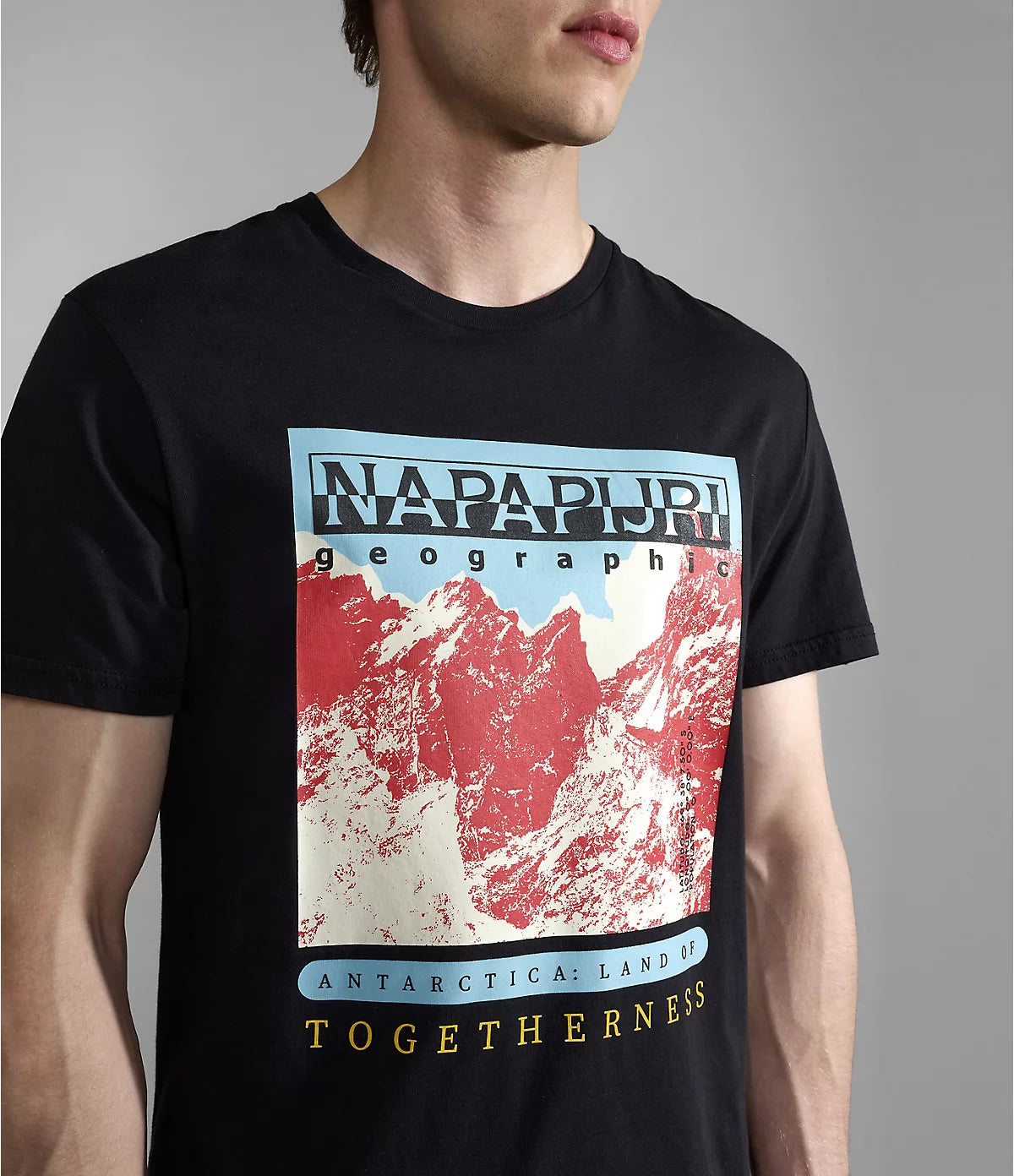 Napapijri Forsteri Print Short Sleeve T-shirt in Black