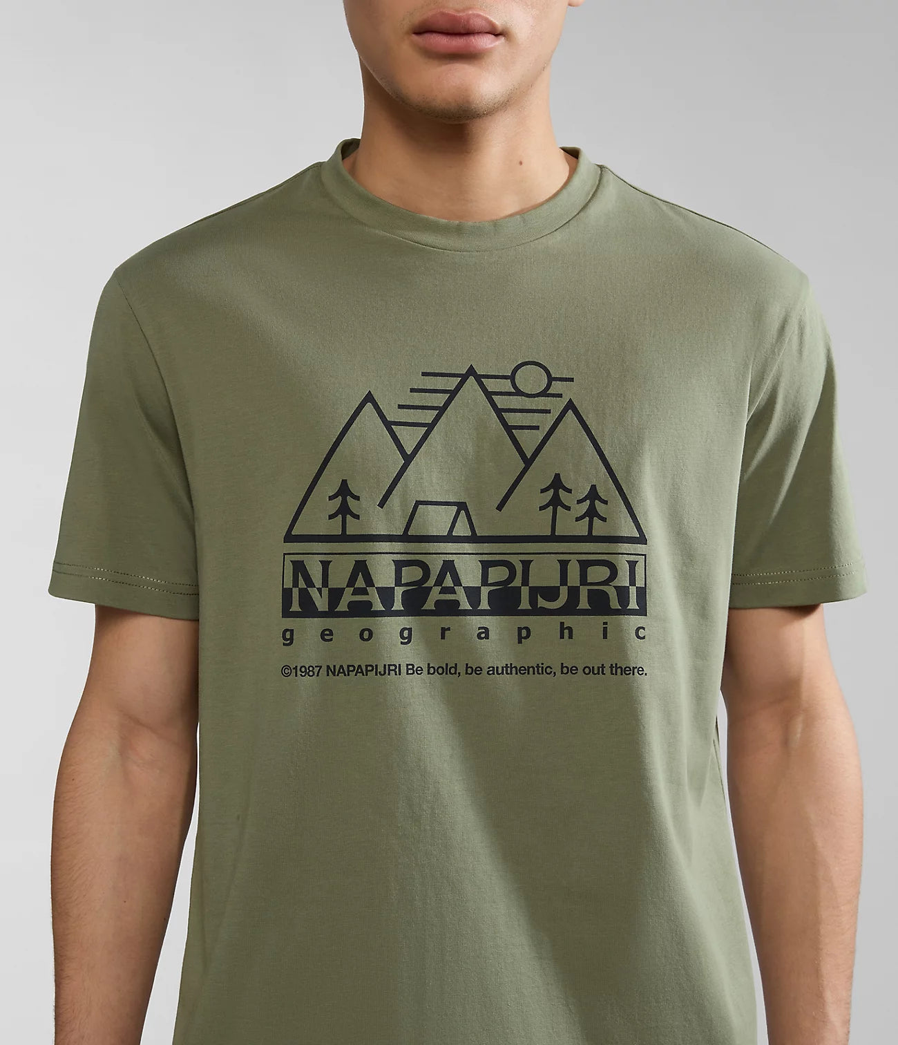 Napapijri Faber Short Sleeve T-Shirt Green Lichen