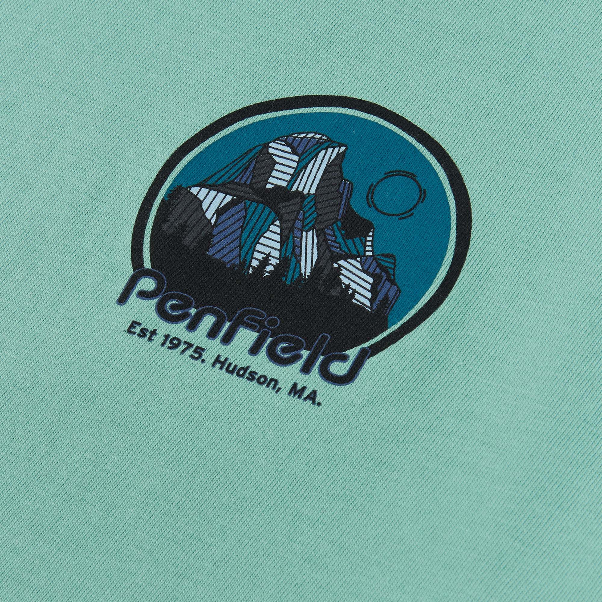 Penfield Yosemite Circle Backprint T-Shirt Wasabi Green